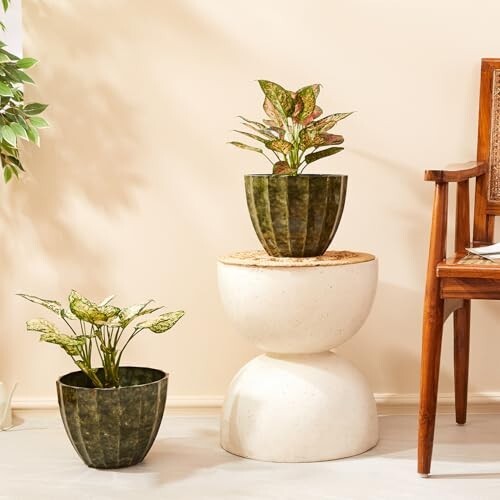 Amazon Brand- Solimo Indoor and Outdoor Round 10 Inch Flower Planter Pot Best for Terrace/Balcony/Home/Office Decor - Set of 2