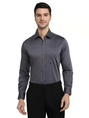 Raymond - Up To 69% Off on Men's Shirt 