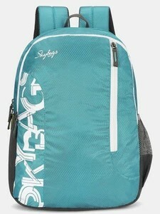 SKYBAGS BRAT 21.65 L Backpack Sea Green 