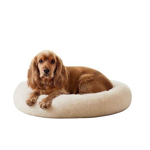 Amazon Basics Faux Fur Donut Pet Bed | Medium (70x70x15 cm) | Color - Beige 