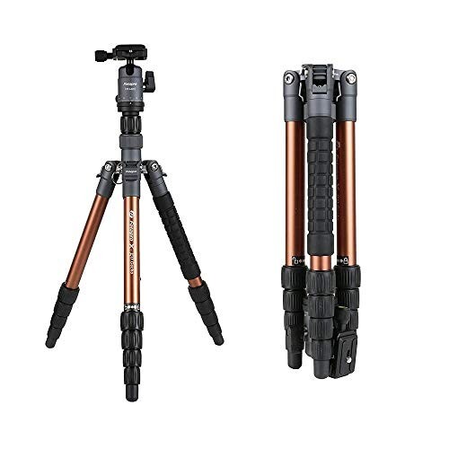 Fotopro X-Go Gecko 5ft Aluminium Tripod Stand with Ball Head for DSLR Camera Payload 8 kg (Brown+Gray)