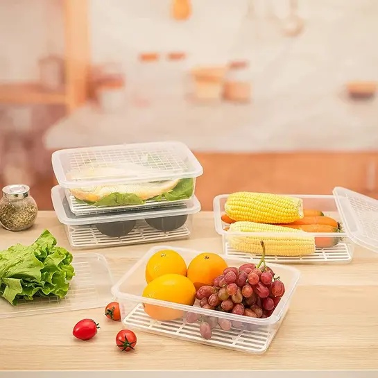 SATVIKAYA pack of 2 Food Storage Container with Removable Drain Plate and Lid of 2500ml capacity each
