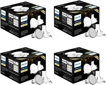 Philips 4W LED Downlighter for Ceiling