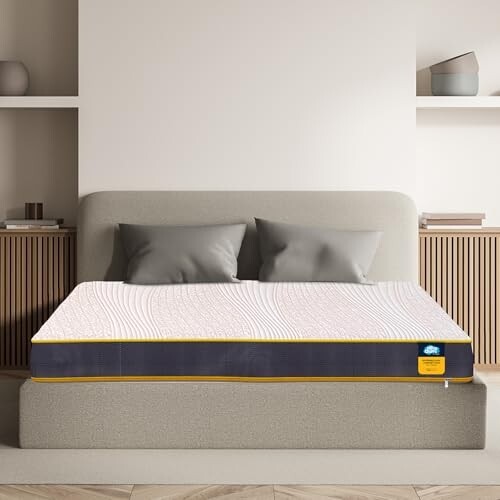 Centuary Mattresses Sleepables | 7 Years Warranty (72x42x5)