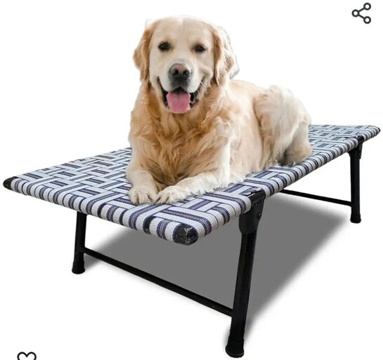 44L Elevated Pet Bed for Dogs