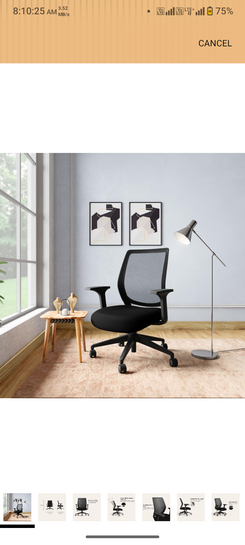 Interio by Godrej Curv Premium Mesh Wide Back Ergonomic Chair