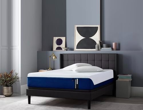 Springtek Dreamer - 3 Layered Medium Firm Orthopedic Mattress