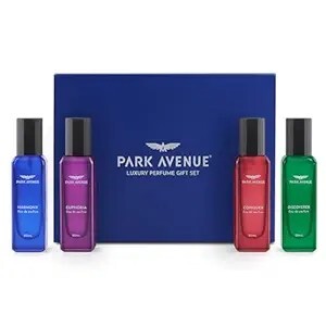 Park Avenue Luxury Perfume Gift Set for Men, 4x20 ml