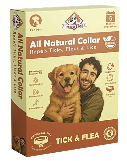 Bigbasket Nootie Pet Food and Accessories upto 90% off [location specific]