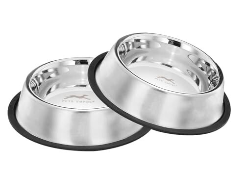 Pets Empire Stainless Steel Feeding Bowl | Large (700 ml x 2)