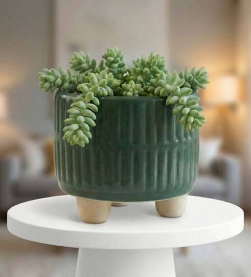 Pepperfry | Dark Green Ceramic Indoor Planter with Drainage @ 99 Only | Free Shipping