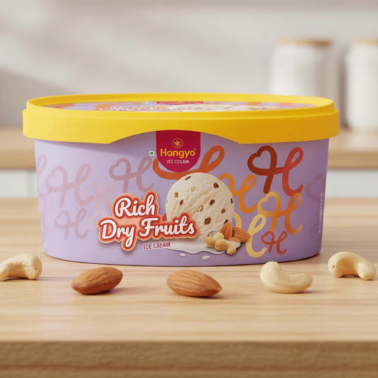 HANGYO Rich Dry Fruits Ice Cream Tub