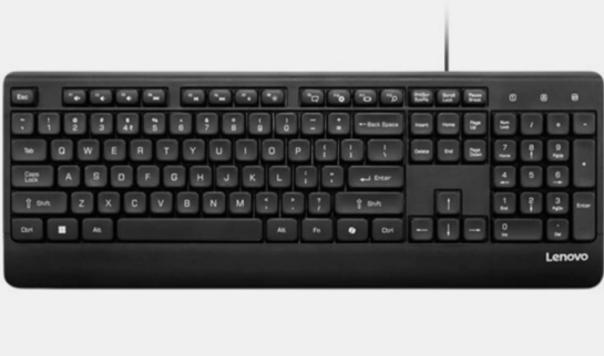Lenovo 110 USB-A Wired Keyboard
