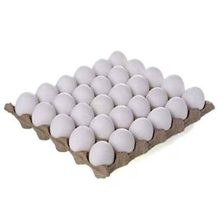 Ovo Farms On-Day White Eggs