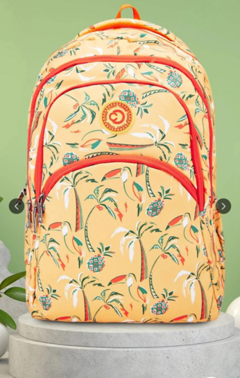 Myntra: Caprese Backpacks upto 90% off 