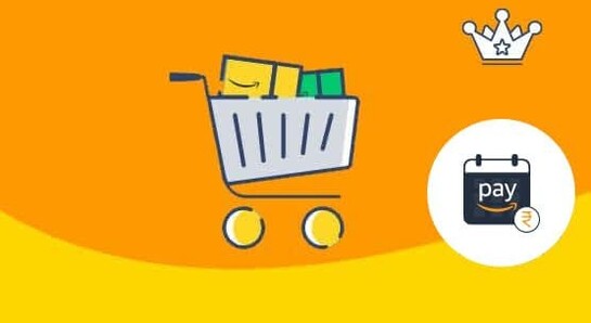 Using Amazon Pay Later Get FLAT ₹250 BACK Min order: ₹500