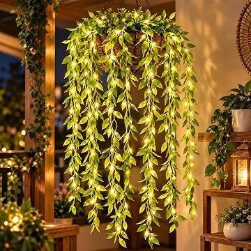 Diwali Lights for Decoration from 279