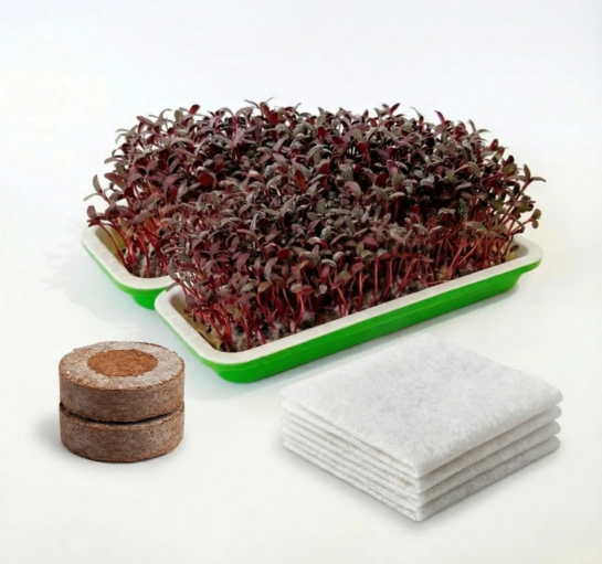 Sample@99 - Anirdesh Hydroponic Seed Sprouter Tray with Microgreens Kit Coco-Coin Discs & Germination Paper, Green, 22.2 L 14.4 W 2.5 H CM (2, 2PCs Coco Disc, 4PCs Germination Paper) 