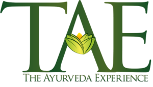 The Ayurveda Experience(TAE)
