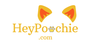 HeyPoochie