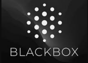 Blackbox AI