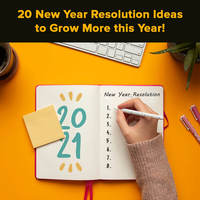 20 New Year Resolution Ideas to Grow More this Year!