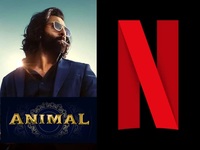 ANIMAL now streaming on Netflix OTT!