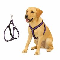 Dog Harness No Pull with Front Clip | Dog Walking Chest Harness with Reflective Adjustable Soft Padded Vest and Easy Control Handle Sizes (Medium, Purple)