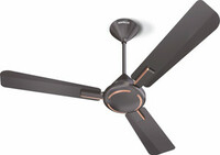 HAVELLS Ambrose ES with 2 Year Warranty 1200 mm Ceiling Fan  (1 Star | Copper | Pack of 1)