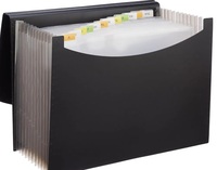 Amazon Basics Expanding File Folder with 13 Pockets, Letter Size, Also Fits A4 Size Documents (Black)