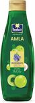 Parachute Advansed Amla Rosemary Hair Oil | 500ml | Amla & Rosemary | For All Hair Types 