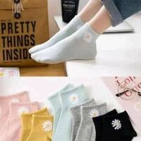 PALMLON Women Ankle Length socks starting at just 14