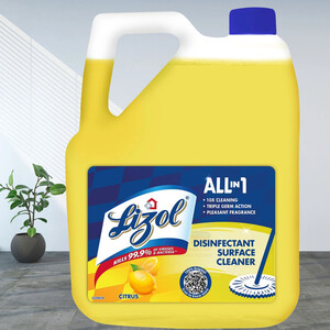 5 Litre - Disinfectant Surface & Floor Cleaner Liquid at 329 on Flipkart