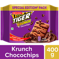 Big basket - britannia tiger  krunch biscuit 400g