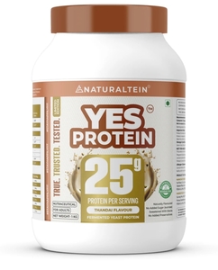Naturaltein Yeast Protein Thandai Flavour 1Kg