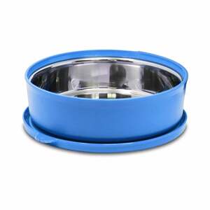 SIGNORA WARE Monarch Stainless Steel Big Storage Container (800ml | Blue) 