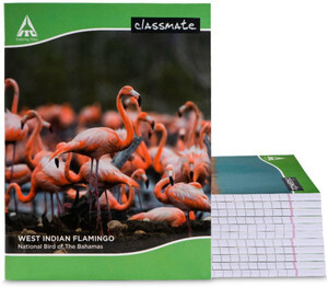 Classmate Notebook Regular Notebook Single Line 172 Pages (Multicolor, Pack of 12)