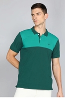 Allen solly Men Colorblock Polo Neck Cotton Blend Green (M) 