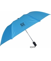 Leatrix 21 Inch 2 Fold Auto-Open Umbrella