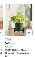 Instamart - plants, flowers -  49rs - ⏰Rush Hour Deals
